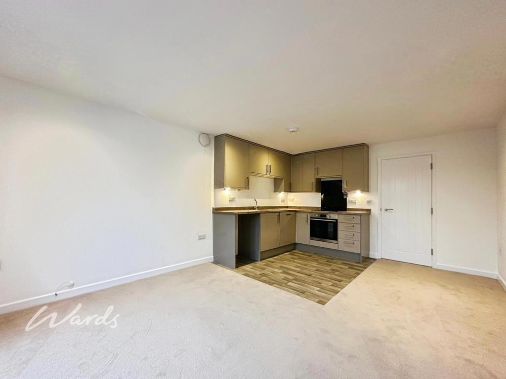 Living/Kitchen Area