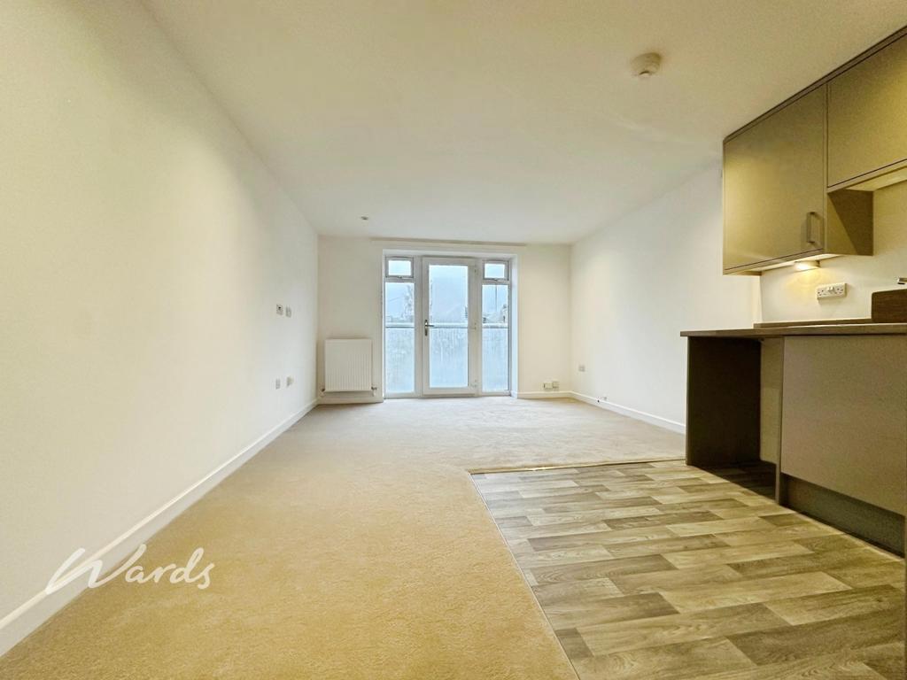 Living/Kitchen Area