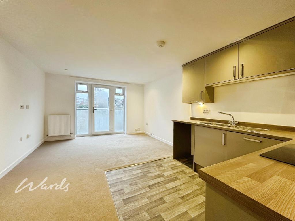 Living/Kitchen Area