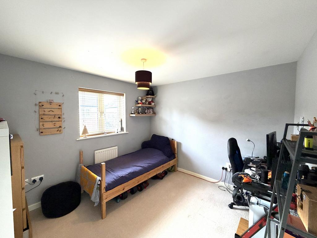 Picture 11