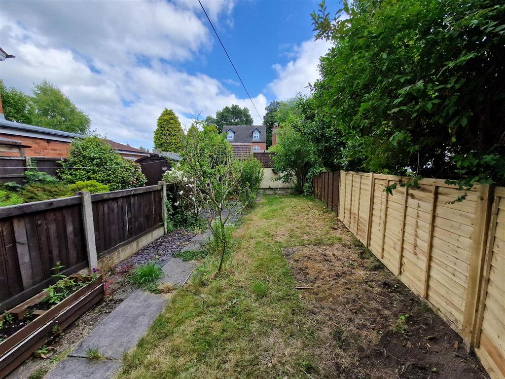 Back garden