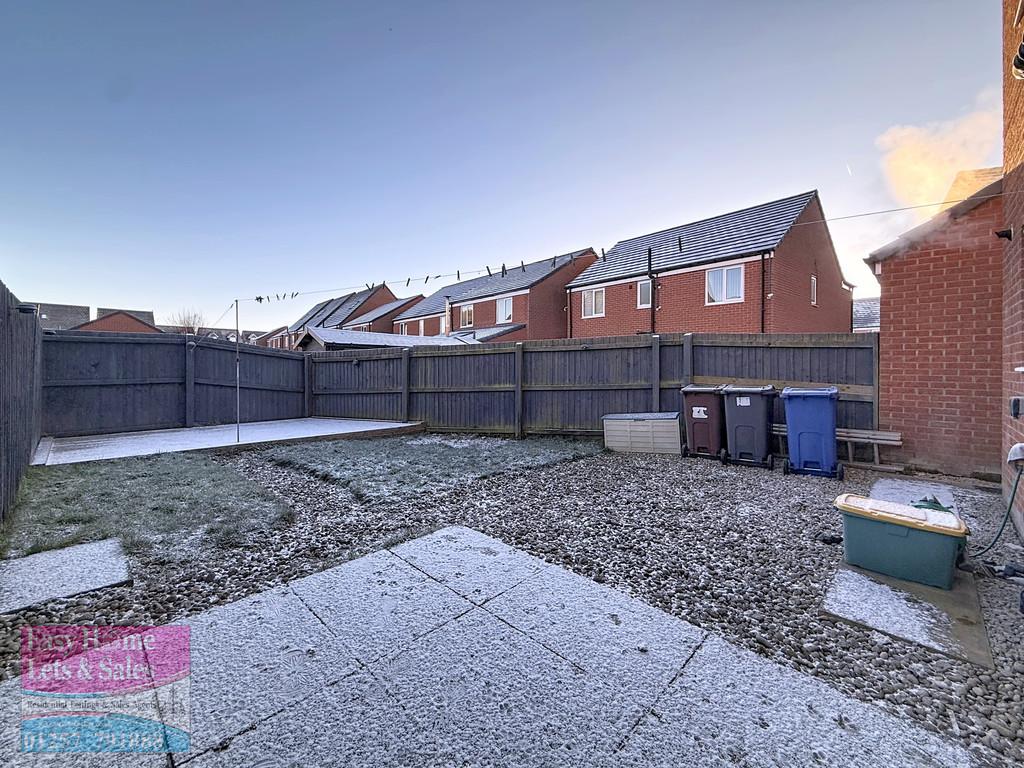 Back Garden