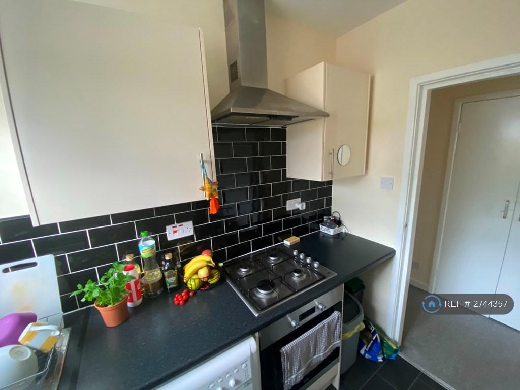Modern Kitchen With All Major Appliances