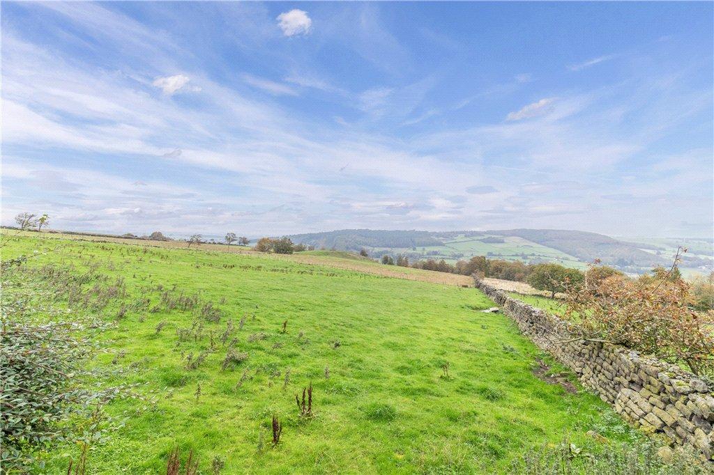 Pastureland