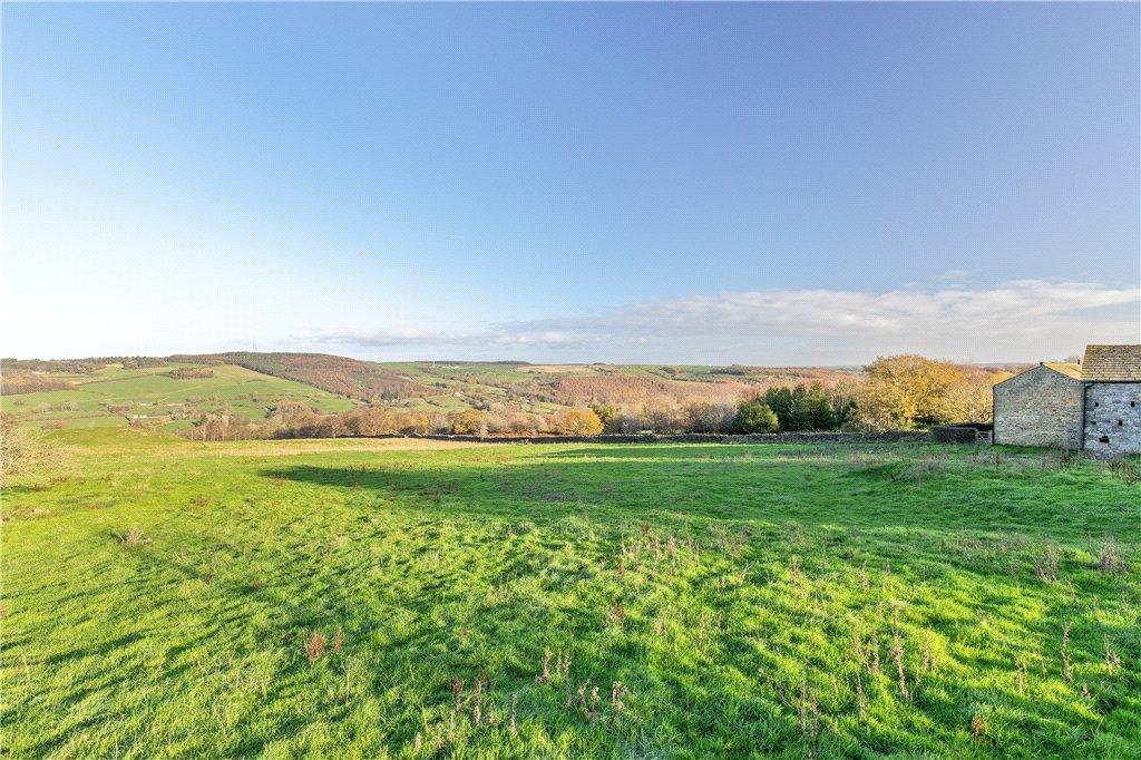 Pastureland