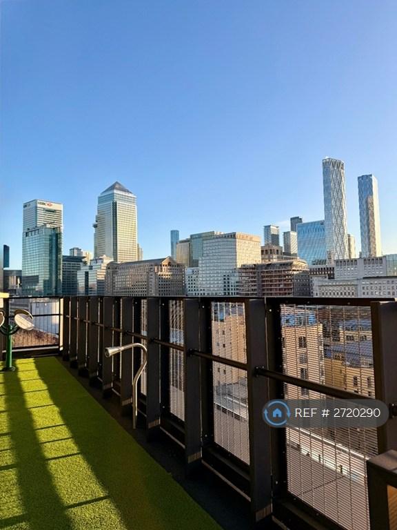 Rooftop Garden