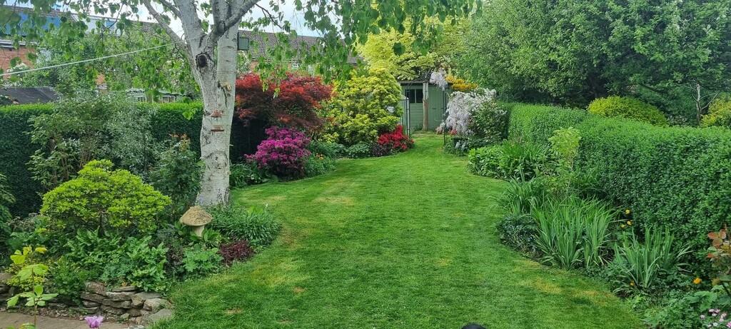 Harley road garden.j