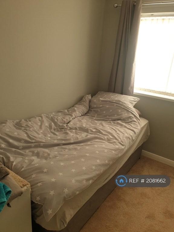 Single Bedroom