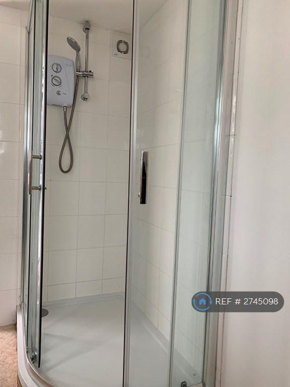 Downstairs Shower