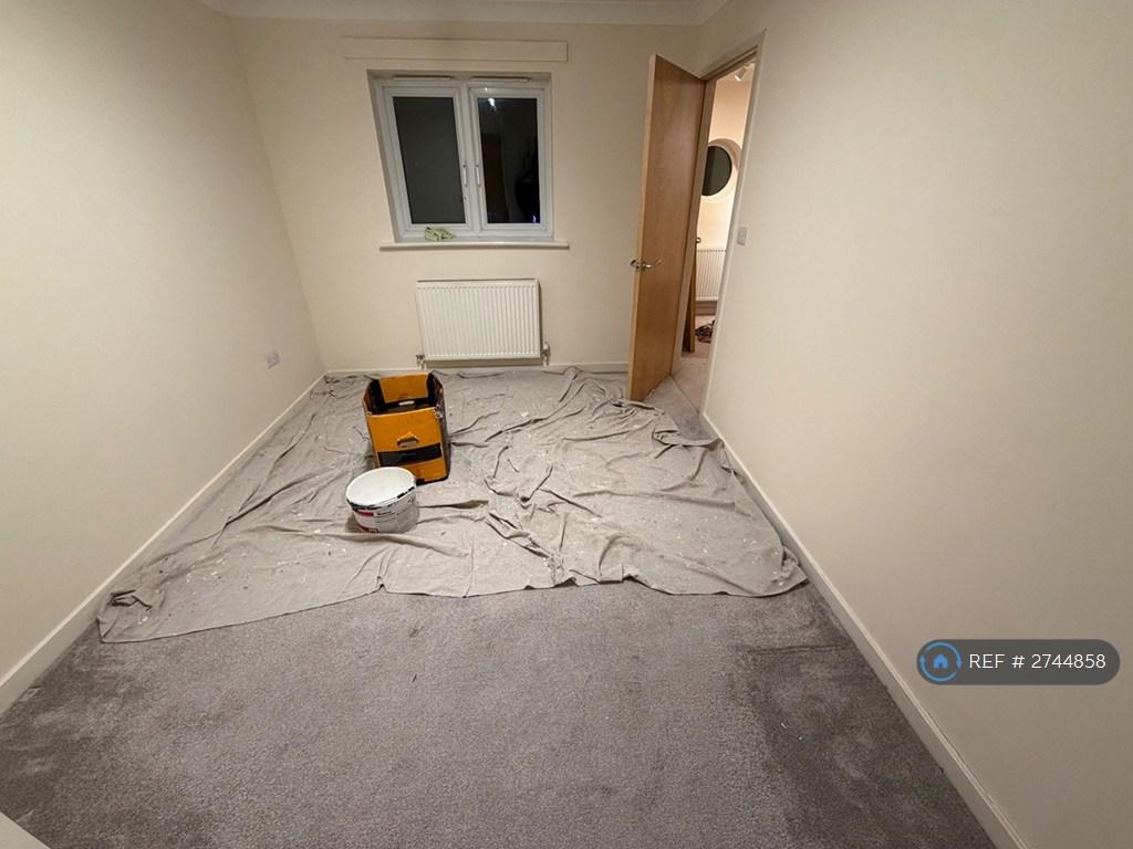 Temporary Photo Until Decoration Complete