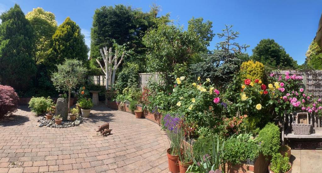 Garden (Summertime)