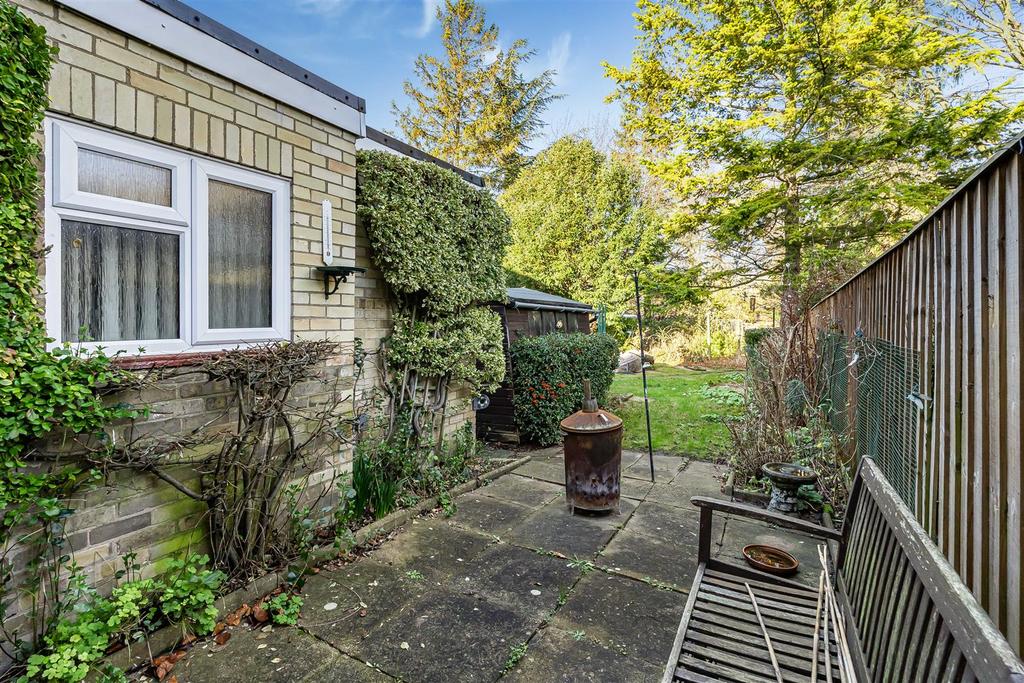 16 69264.jpg