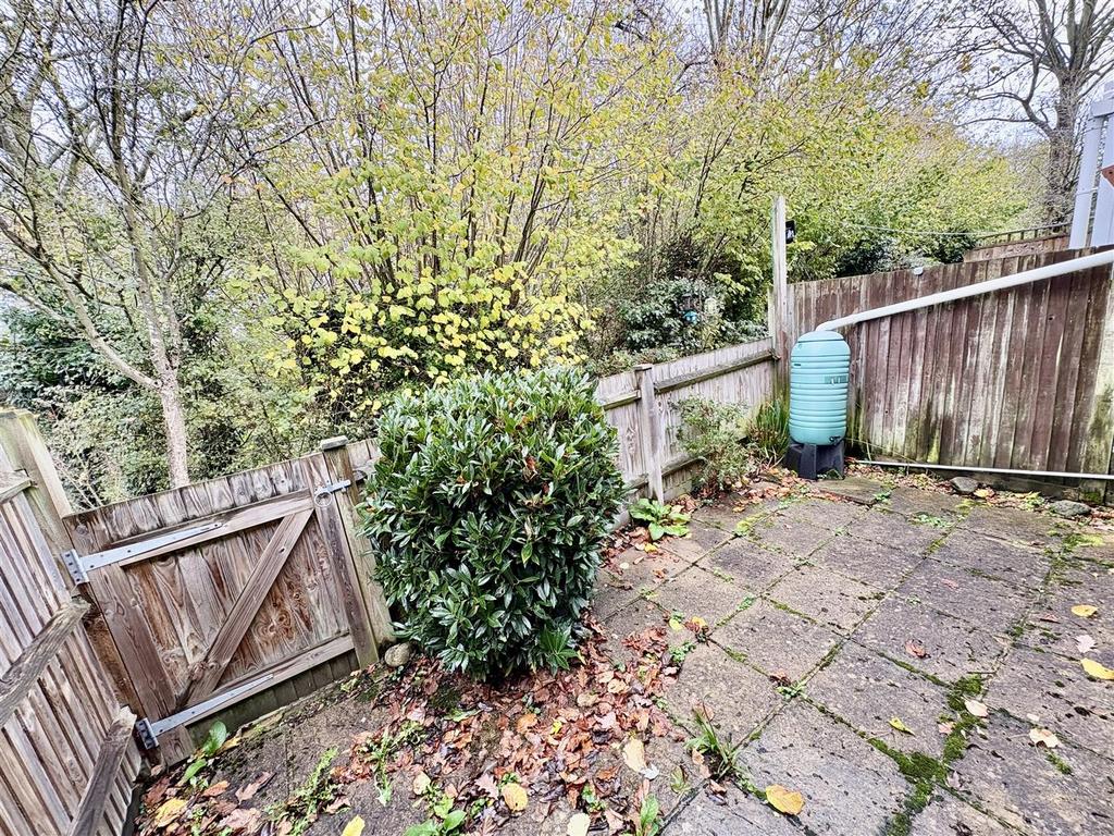 Rear Courtyard Patio Garden