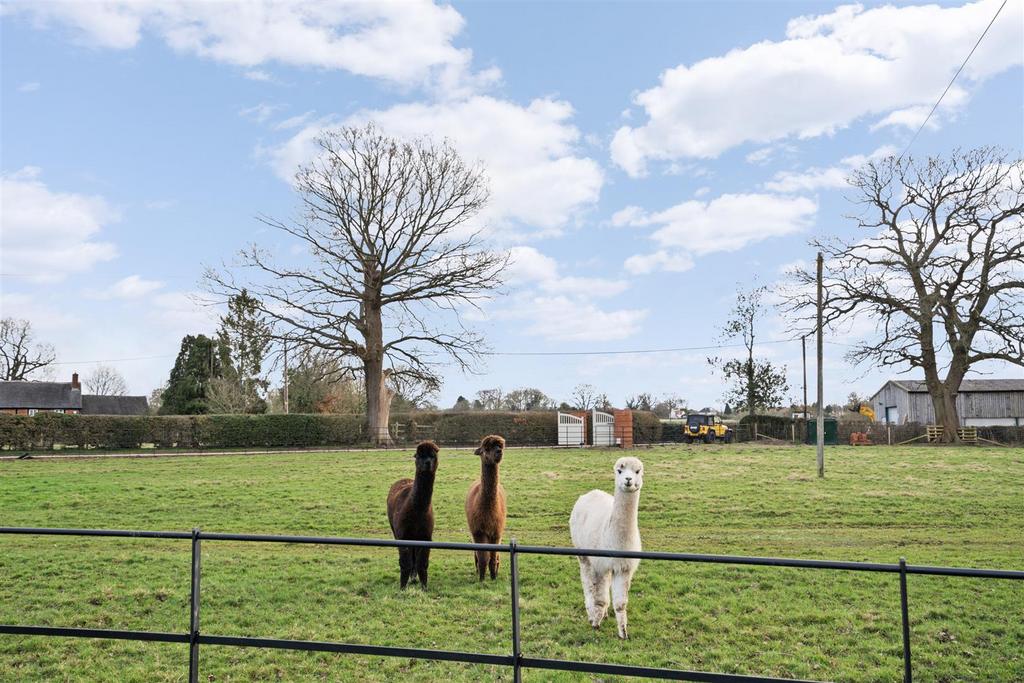 The Lodge-39 lo.jpg