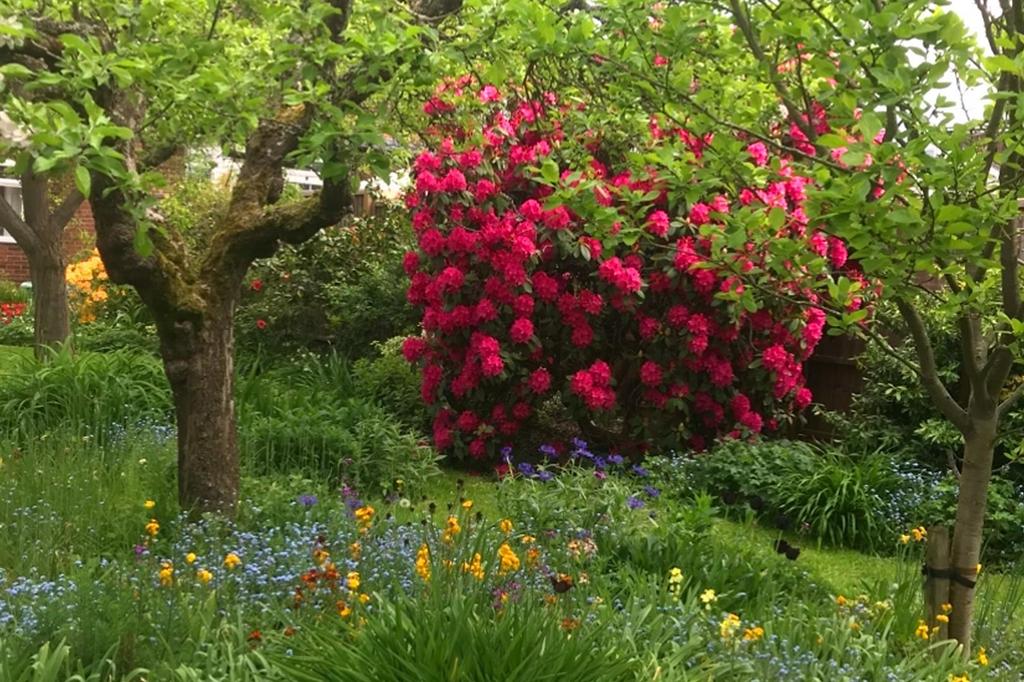 Thumbnail 32 Hazelmere Rd Garden1.jpg
