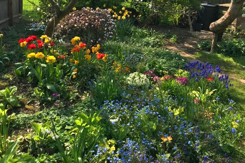 Thumbnail 32 Hazelmere Rd Garden2.jpg