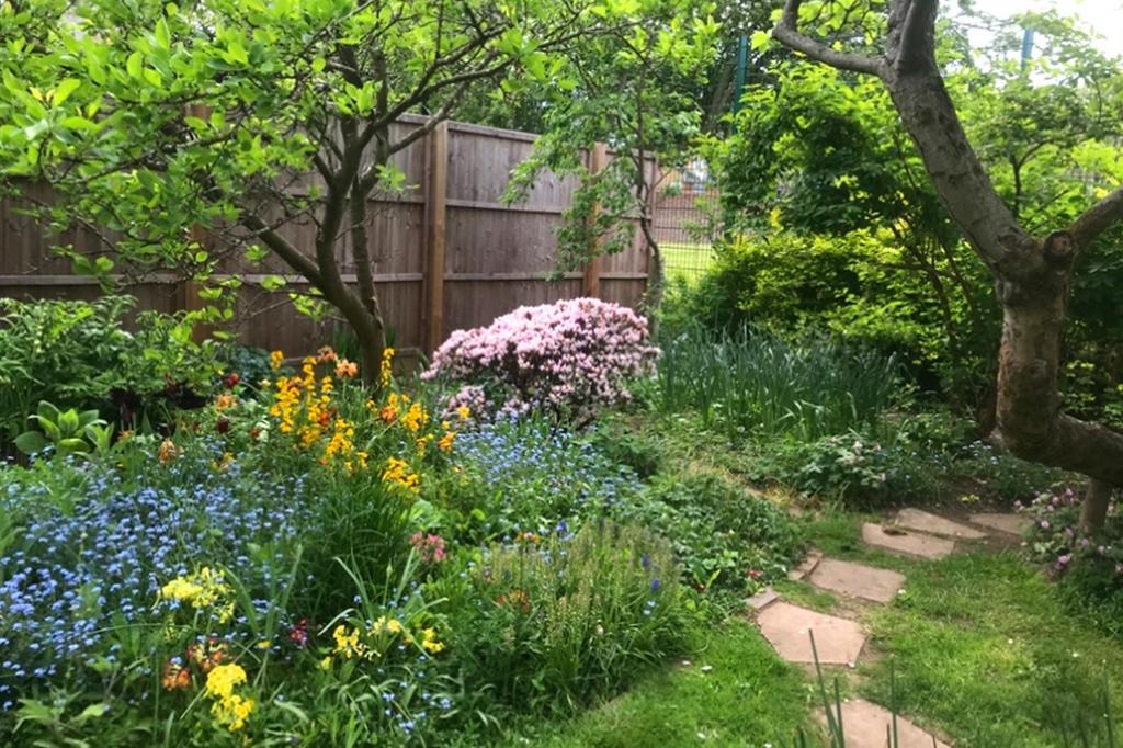 Thumbnail 32 Hazelmere Rd Garden4.jpg