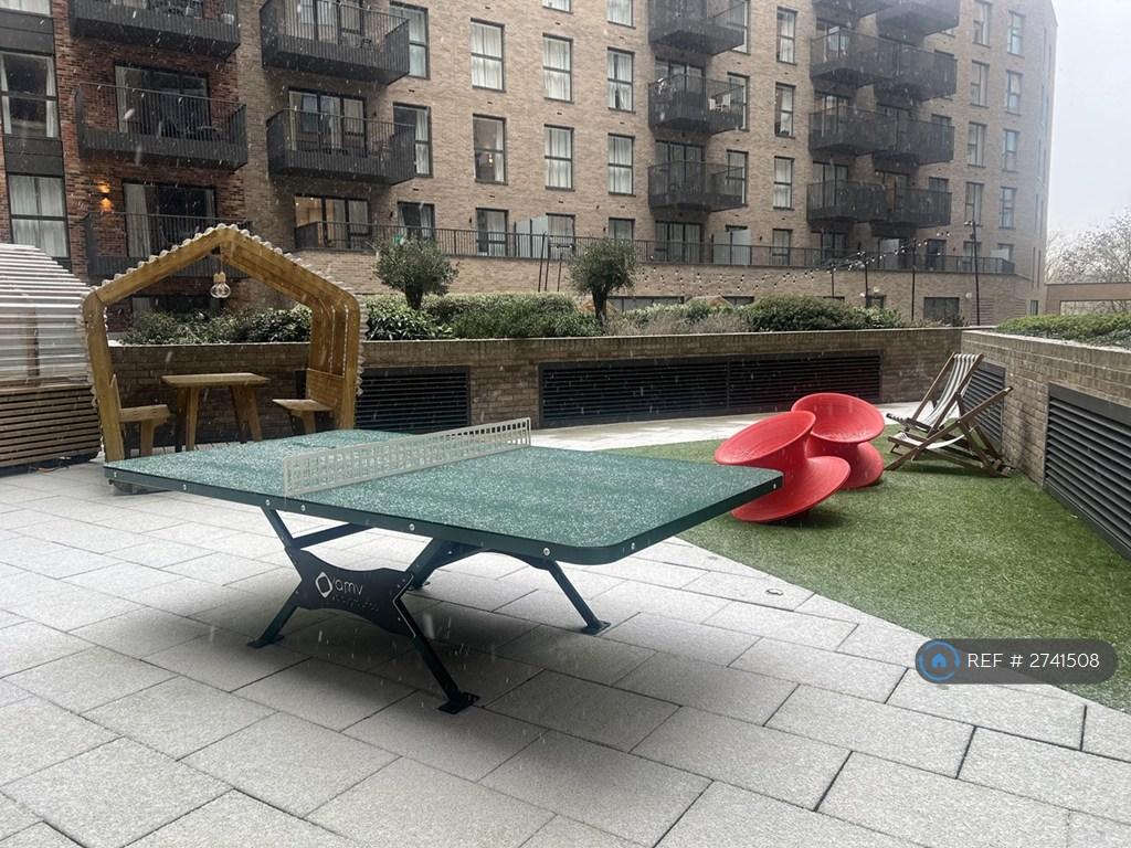 Table Tennis At Community Garden