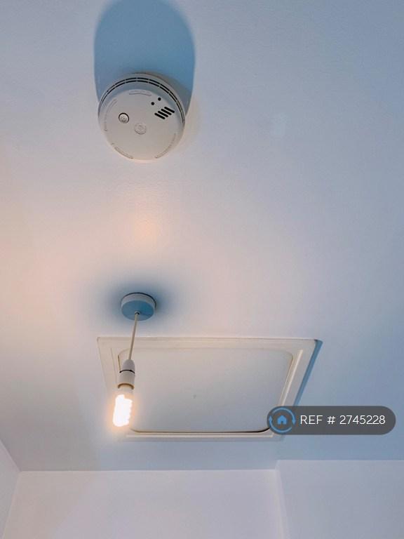 Attic Storage
