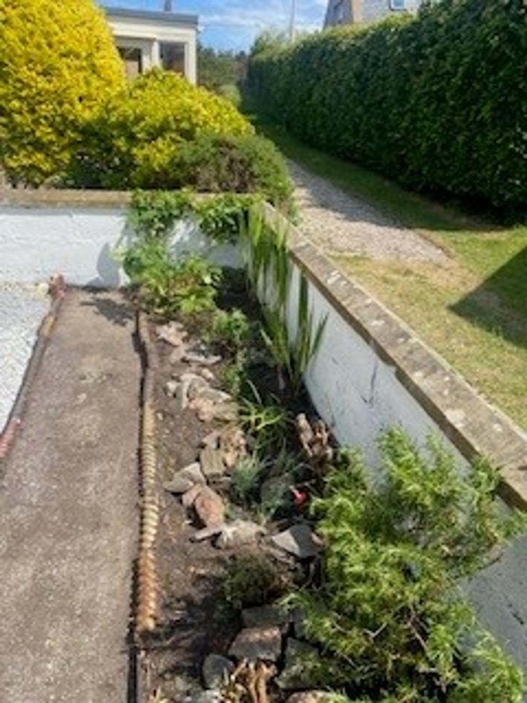 Garden b