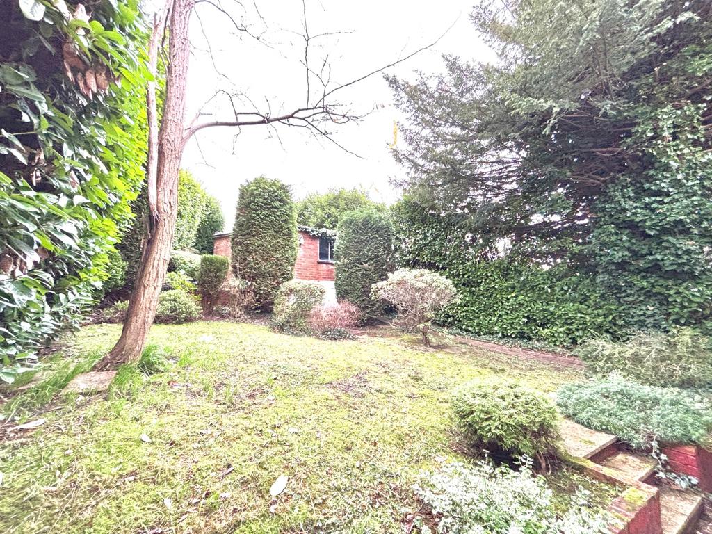 Garden 2