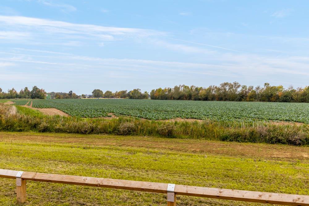 The Maples Plot 113 (Weston)-1.jpg