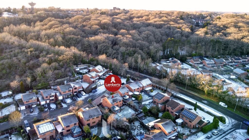 Ariel View
