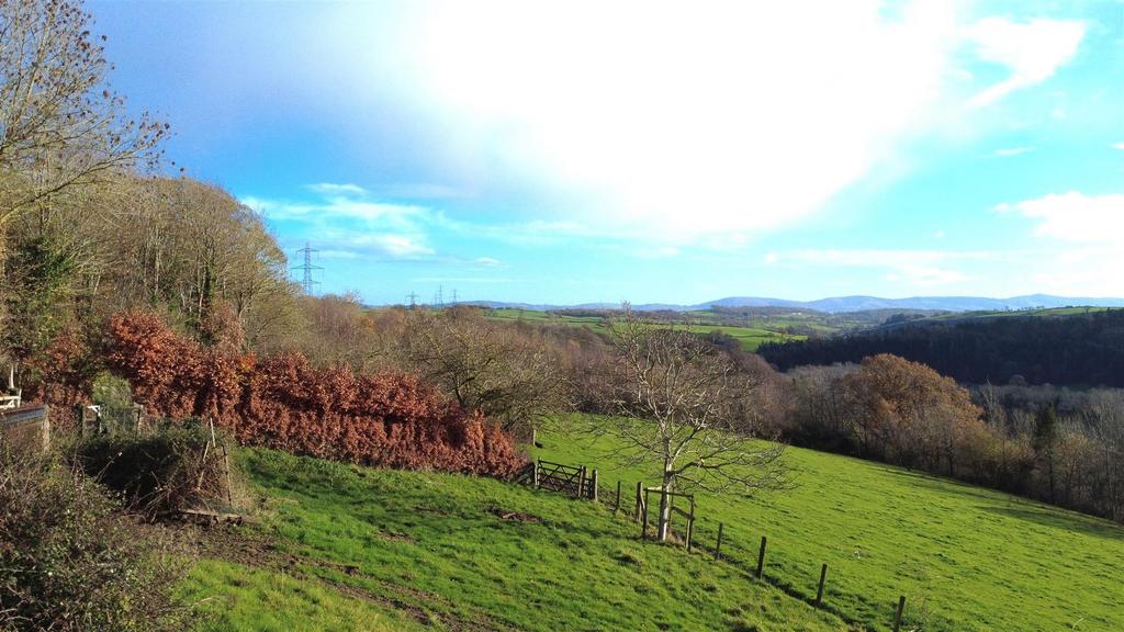 The land