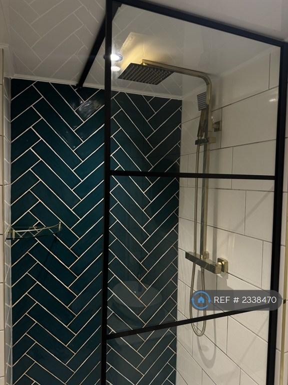 Rainfall Shower