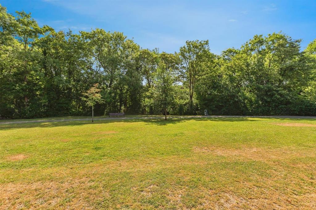 Park 2.jpg