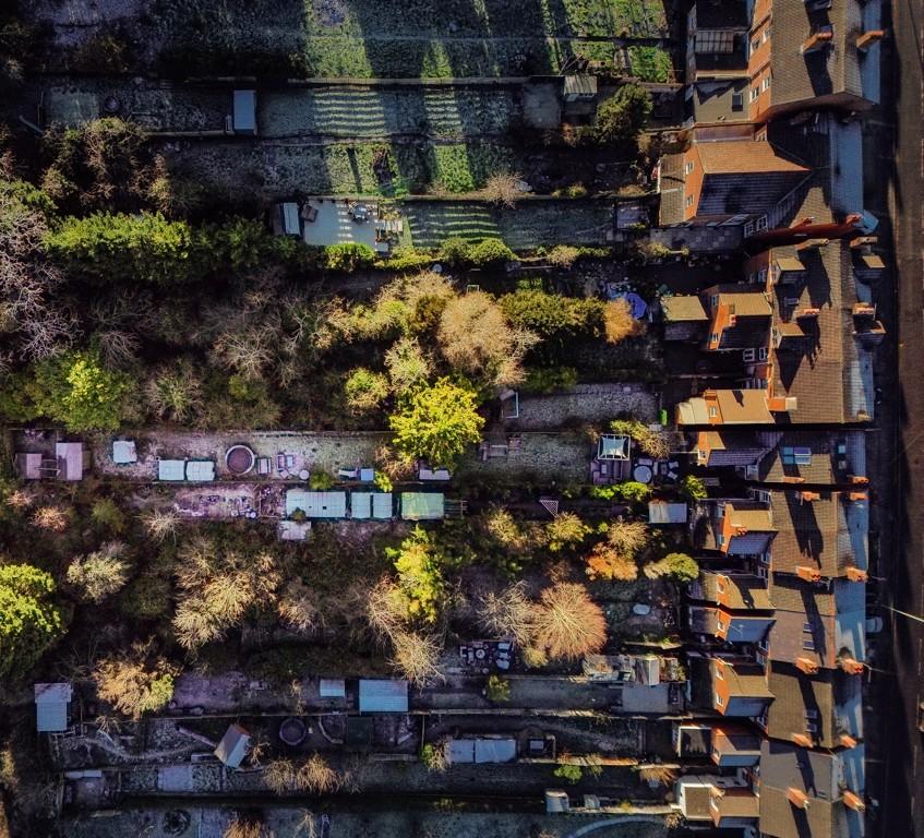 Birdseye View