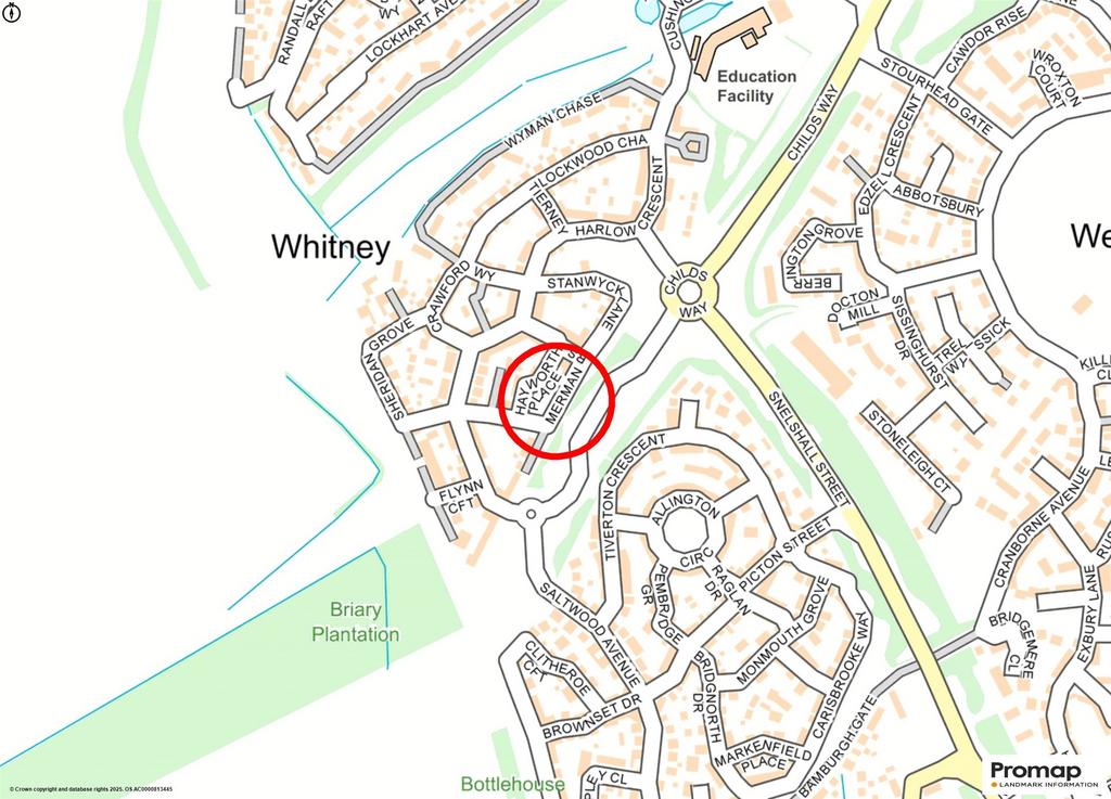 Street Map