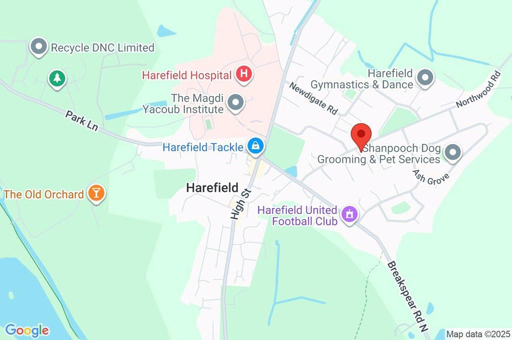 Google Maps Image