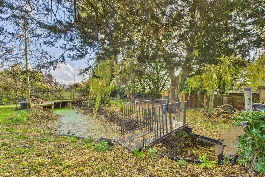 Garden/pond