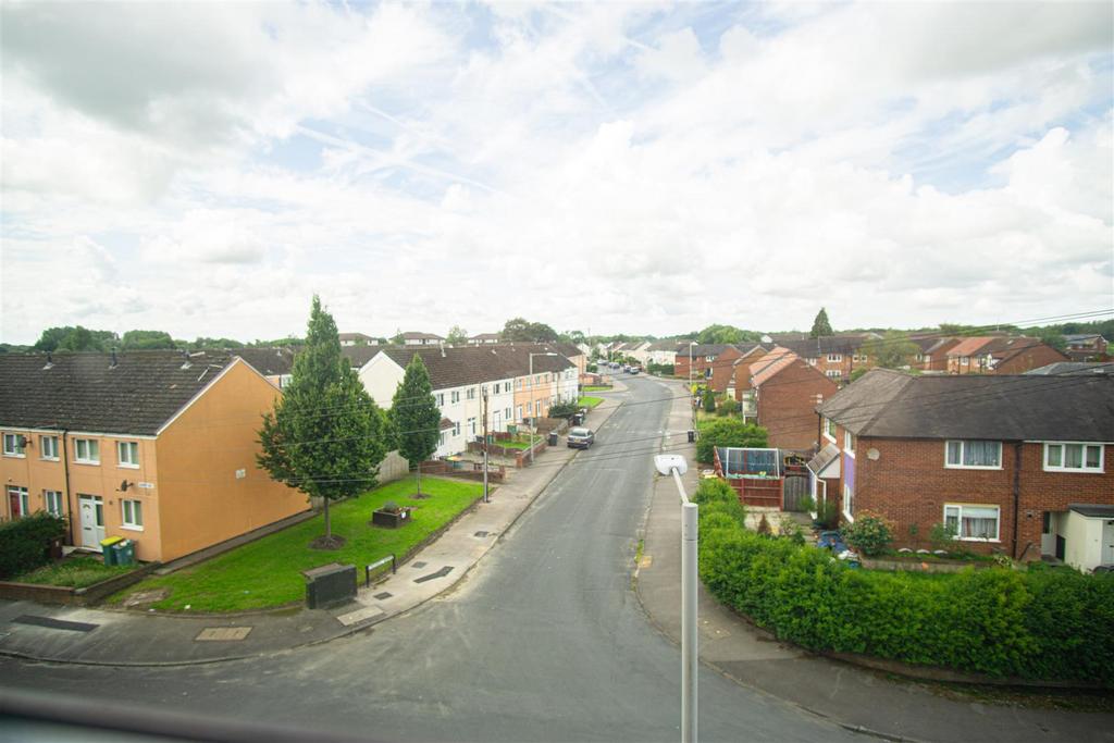 View from Window