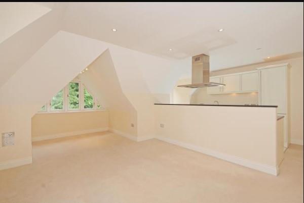 Living Area/Kitchen