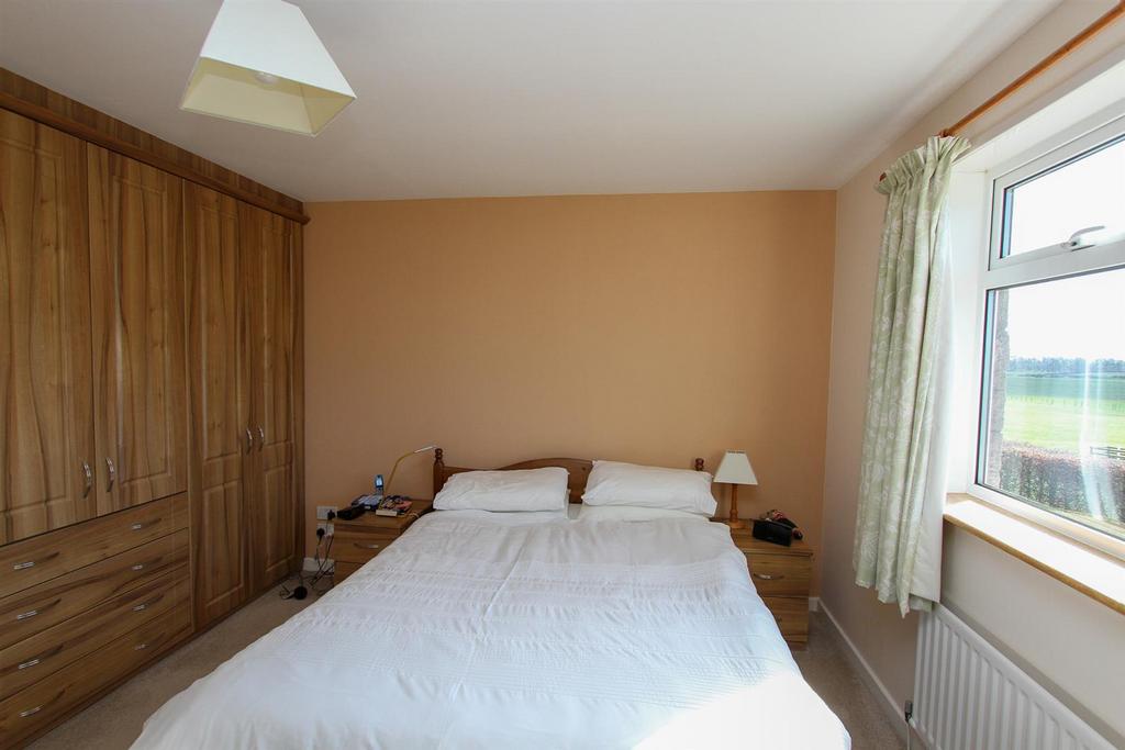 IMG 2010.jpg