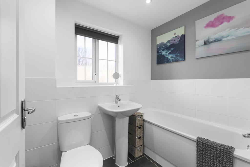 Picture No. 16
