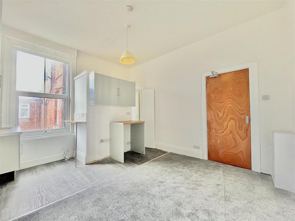 Combined Living Room/Kitchen/Bedroom