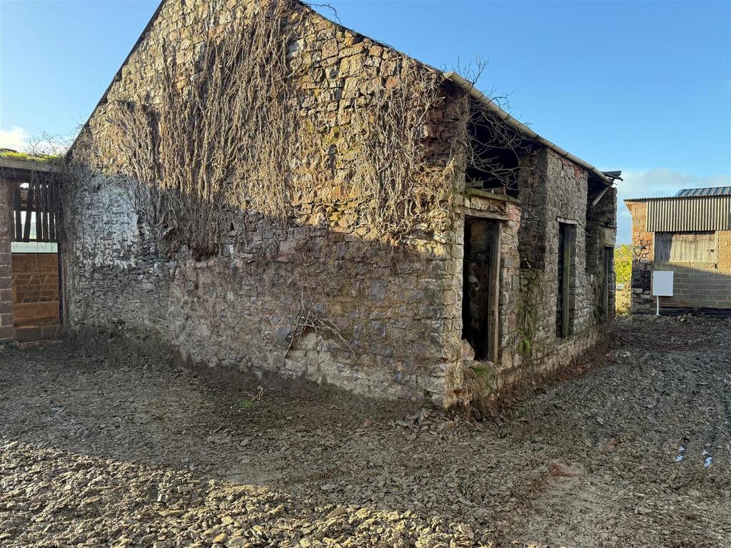 Barn 4.jpg
