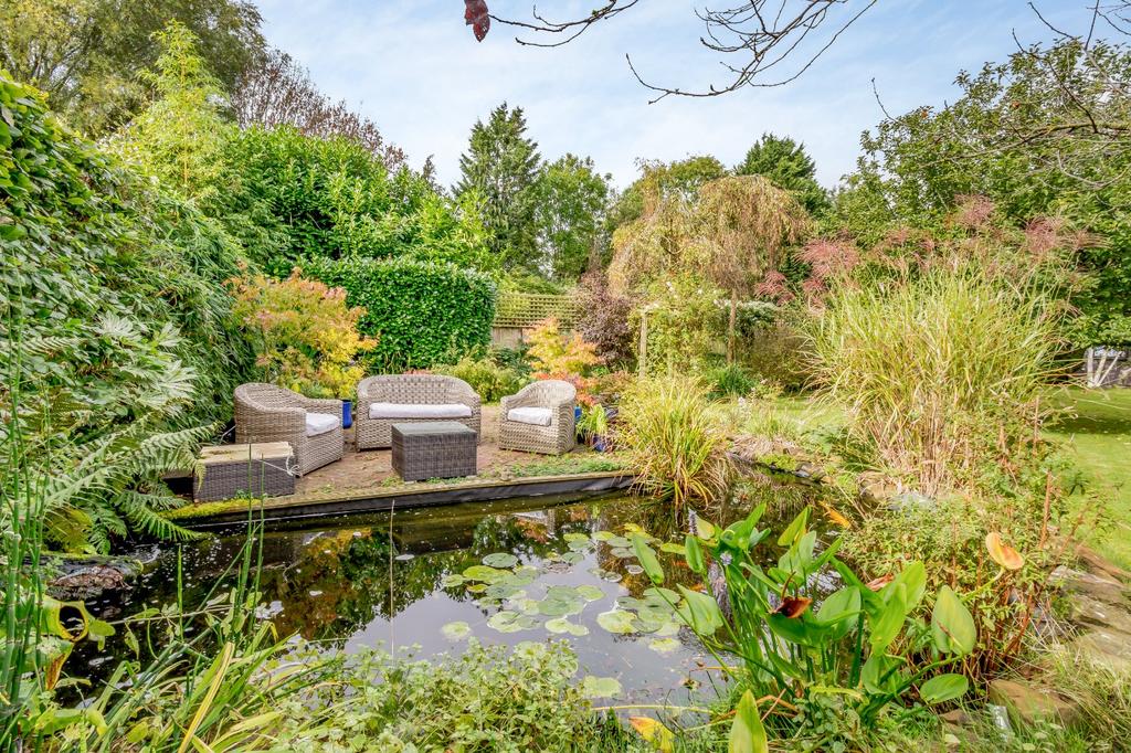 Pond
