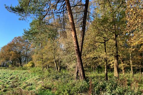 Property for sale, Dark Lane, Tidmarsh, Pangbourne, Reading