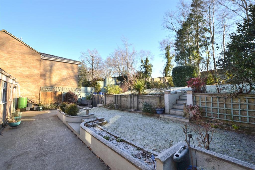 Garden 1.JPG