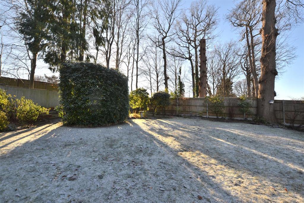 Garden 2 .JPG