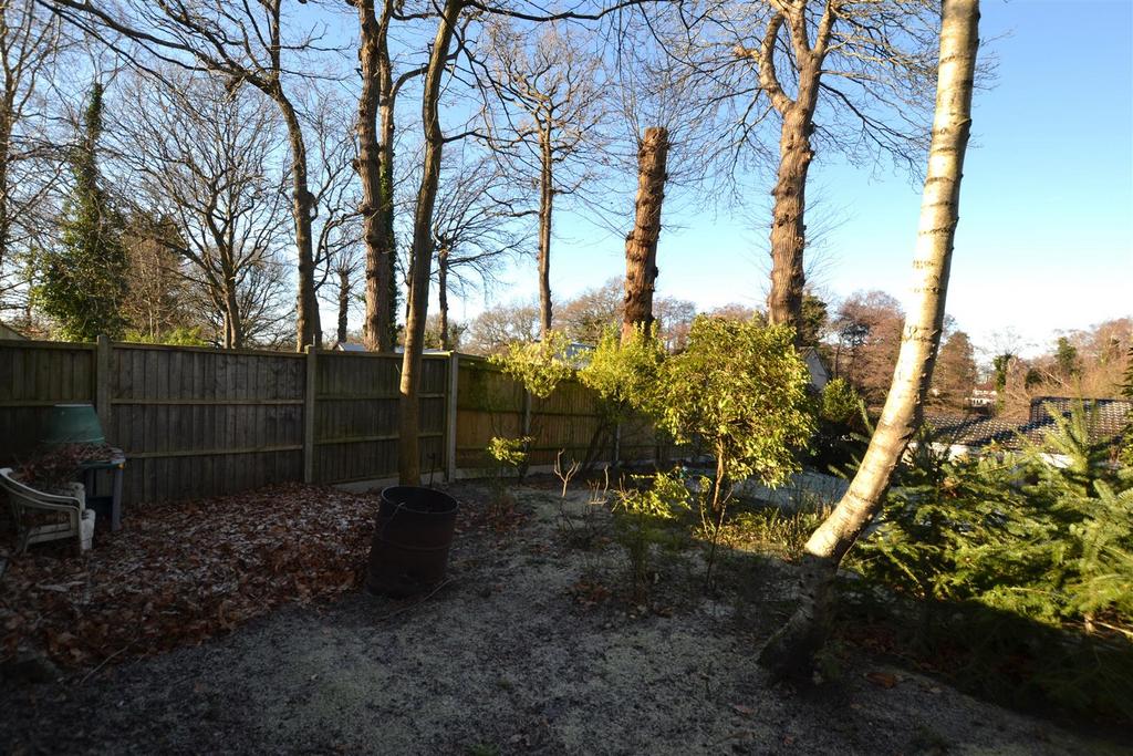 Garden 4 .JPG