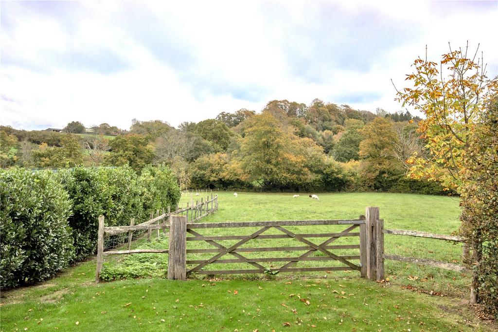 Fields