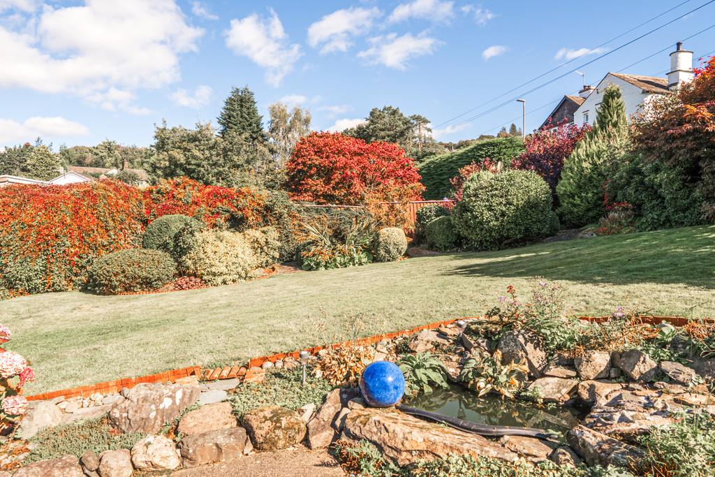 Pond & rear garden