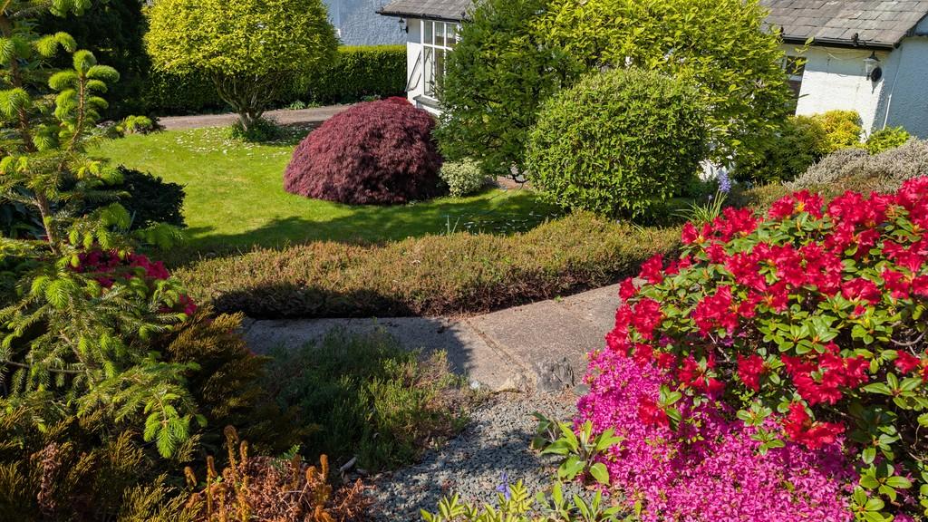 Front garden