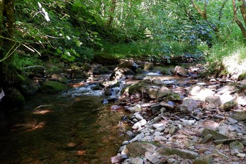 undefined, Otter Wood, Near Halfway, Powys LD3