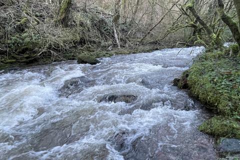 undefined, Otter Wood, Near Halfway, Powys LD3